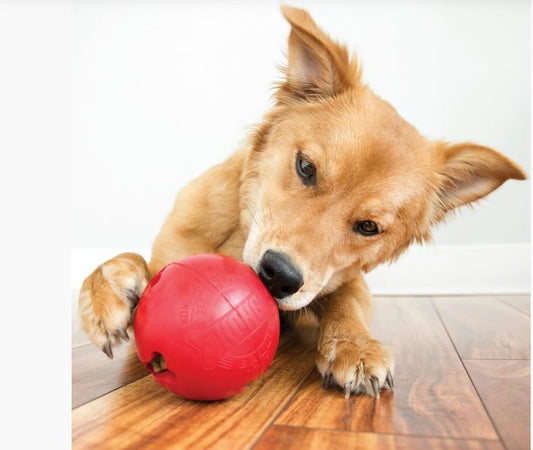 KONG Biscuit Ball Large