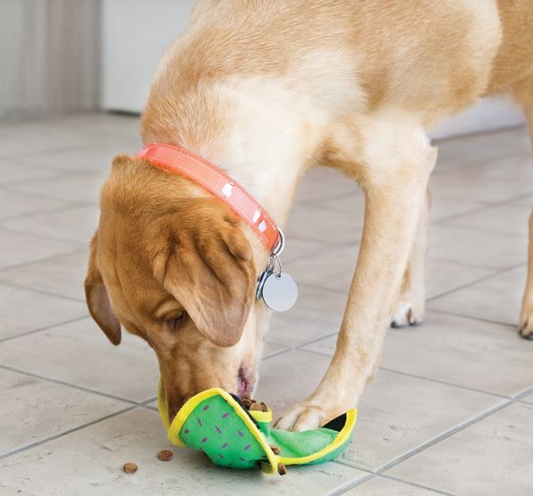 KONG Ballistic Hide n Treat Large Sortiert