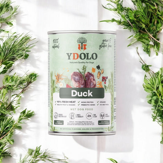 YDOLO Healthy & Pure ENTE – Dose 400g