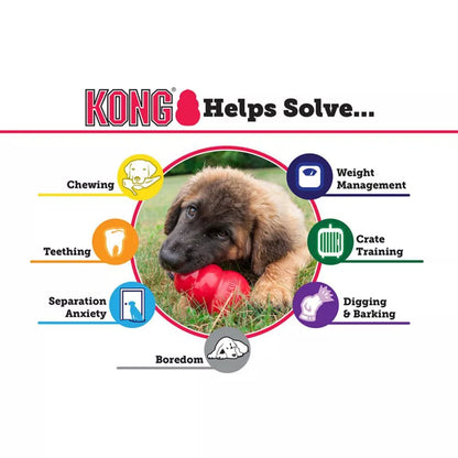 KONG Senior Large